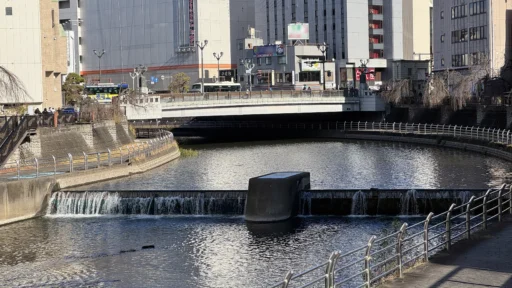 1年間、ブログを休止。実家に戻った後に、ChatGPTが導いた移住先へ引っ越した話。