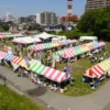 「フェスタmy宇都宮2026」へ、宇都宮城址公園をひとりでぶらり